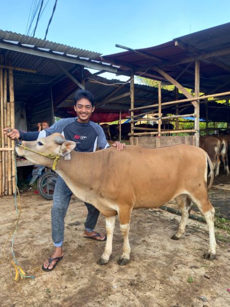 Sapi NO 21
